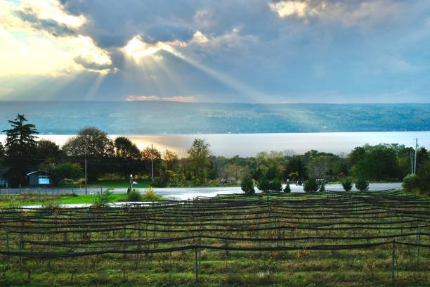 Sunset Over Lake Seneca Sunset over the vineyards surrounding Seneca Lake in upstate New York finger lakes stock pictures, royalty-free photos & images