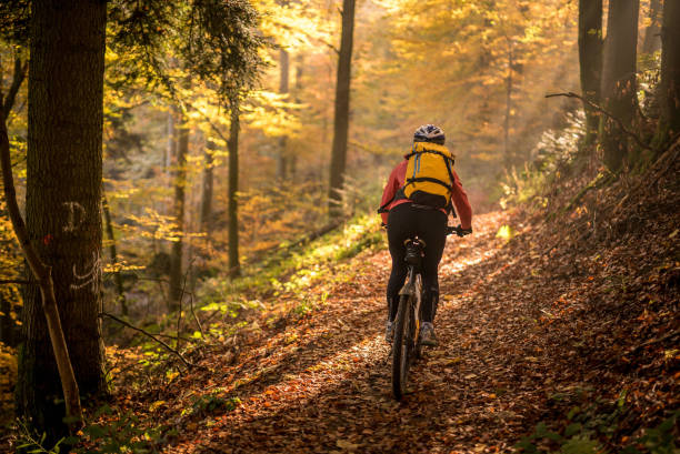 joven pasea en bicicleta por el bosque al amanecer - autumn glory fotografías e imágenes de stock