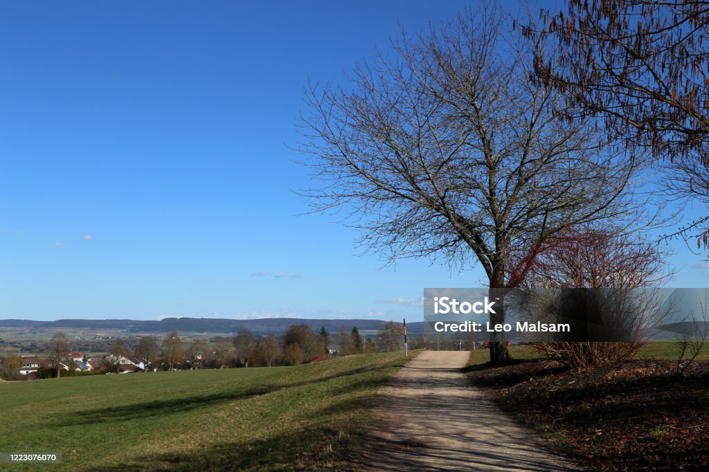 Stock Spring Landscape Spring Landscape Spring Landscape With A Tree Stock Photo - Download ...