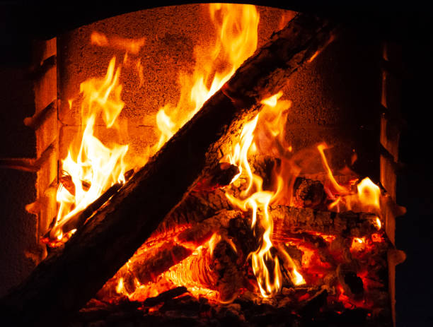 istock Wood burning on an overnight barbecue 1223077561