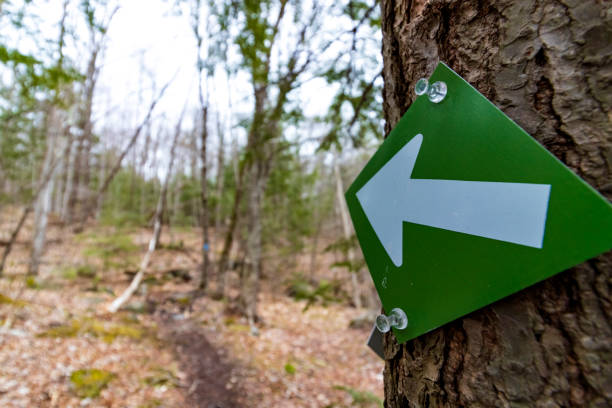 istock Green Arrow Trail Marker 1223082328