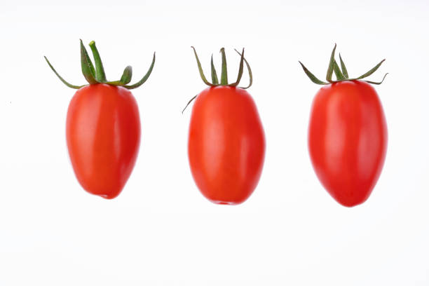 매화 체리 육즙 토마토 흰색에 고립. 이탈리안 신선한 야채 세트. 산 마르자노 토마토 의 그룹. - san marzano tomato 뉴스 사진 이미지