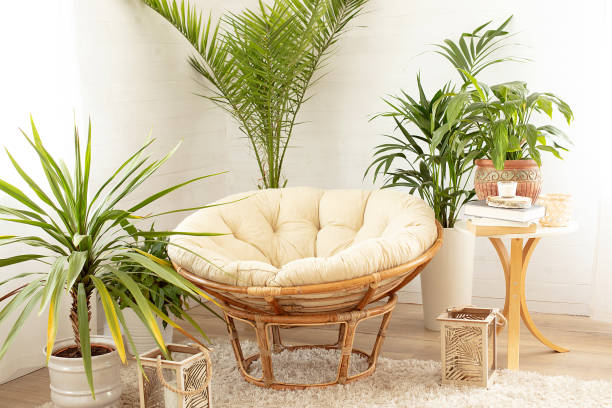 istock House with cozy boho ethnic interior with plants. 1223085265