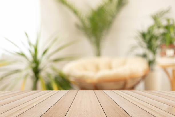 istock House with cozy boho ethnic interior with plants. 1223085292
