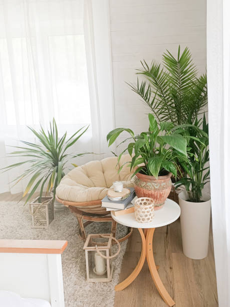 istock House with cozy boho ethnic interior with plants. 1223085311