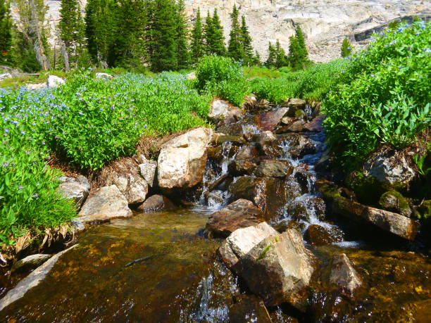 istock Beauty of Idaho 1223092404