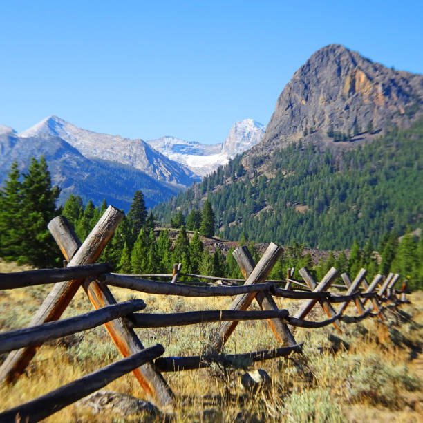 istock Beauty of Idaho 1223092413