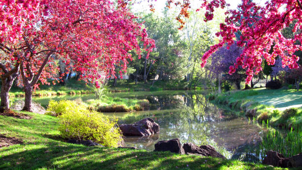 istock Beauty of Idaho 1223092534