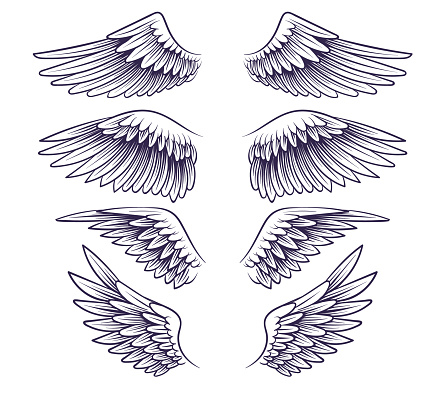 Hand Drawn Wing Sketch Angel Wings With Feathers Elements For Logo Label Or  Tattoo Stencil Silhouettes Vintage Isolated Vector Set Stock Illustration -  Download Image Now - iStock