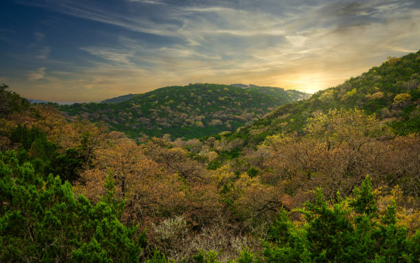 Majestic Beauty Texas Hill Country texas mountains stock pictures, royalty-free photos & images