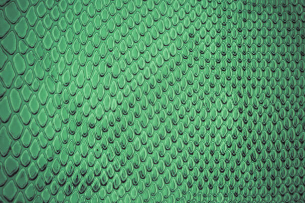 istock close up of exotic Snakeskin pattern 1223103605