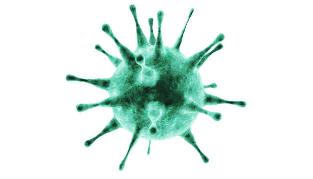 istock New coronavirus 2019-ncov. 3D illustration 1223105447