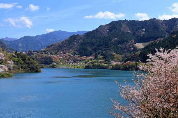istock Lakeside of Odo Dam in spring(Niyodogawa Town, Kochi Prefecture) 1223108770