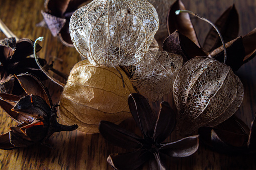 Dried flowers on wooden background.