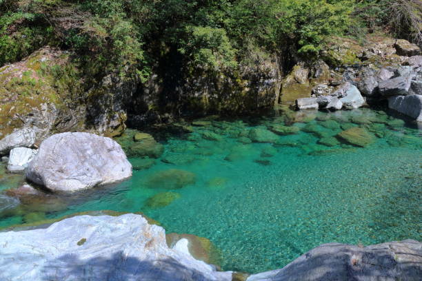 istock Yasui Valley, Beautiful Water Stream, Spring (Kochi Prefecture) 1223108894