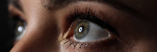 istock Amazing female green and grey coloured eye 1223119963