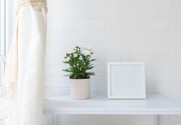 istock White chrysanthemum in pot with blank square picture frame 1223120175