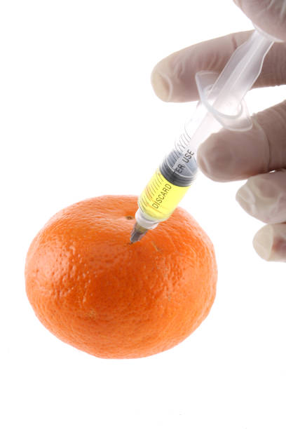 naranja fresca con jeringa. concepto de alimentos modificados genéticamente. - food crop sprayer insecticide dna fotografías e imágenes de stock