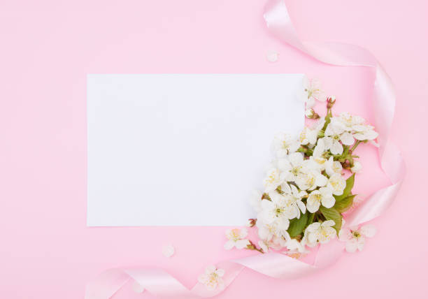 istock White cherry flowers on pink background,  empty white card.  Creative layout , spring template  . Spring background with empty space for Mother's day, women's day, 8 march, birthday, easter, wedding invitation, greeting card, mock up, top view 1223129124