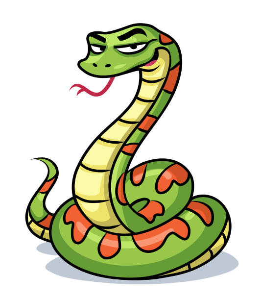 Green Snake Vector illustration of a smirking green snake with its tongue out, looking at the camera, isolated on white. snake stock illustrations