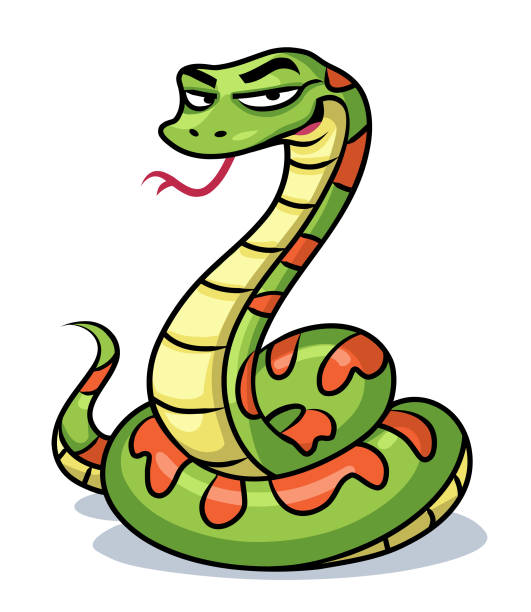 Green Snake Vector illustration of a smirking green snake with its tongue out, looking at the camera, isolated on white. smirk stock illustrations