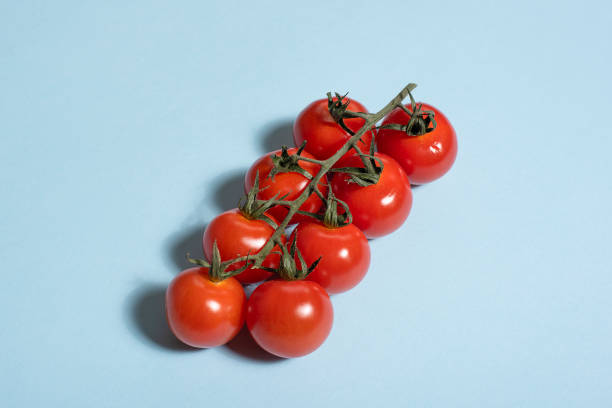 istock A branch of red tomatoes on a blue background. 1223130161