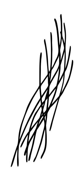 27 One Strand Of Hair Illustrations & Clip Art - iStock | Single strand of hair, Piece of hair 27 One Strand Of Hair Illustrations & Clip Art - iStock | Single strand of hair, Piece of hair