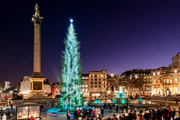 londyn, boże narodzenie na trafalgar square (anglia, wielka brytania) - trafalgar square zdjęcia i obrazy z banku zdjęć