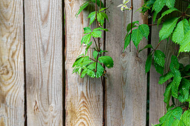 istock Old rustic wooden surface. Boards for background and construction. Brown texture. 1223131728