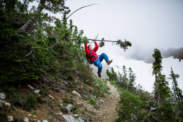 Hiking in the rain and swinging from a tree branch A young man having fun and hiking in the rain and swinging from a tree branch in the North Cascades in Washington State pacific crest trail stock pictures, royalty-free photos & images