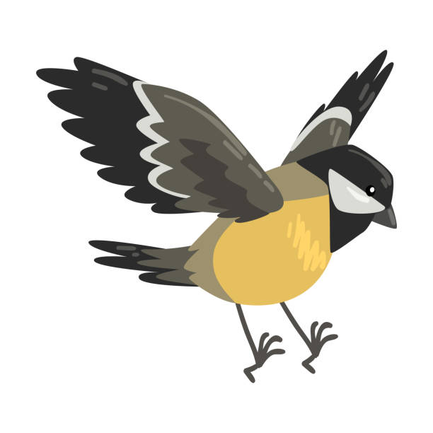 ilustrações de stock, clip art, desenhos animados e ícones de cute flying titmouse winter bird, beautiful northern birdie vector illustration - tit