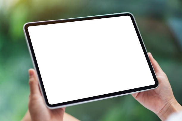 a woman holding black tablet pc with blank white desktop screen , green nature background stock photo