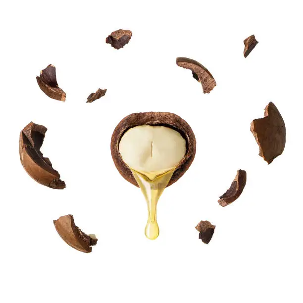 oil dripping from macadamia nut isolated on white background