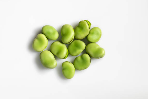 흰색 배경에 격리 된 신선한 녹색 넓은 콩의 클로즈업 탑 뷰 - fava bean bean seed 뉴스 사진 이미지