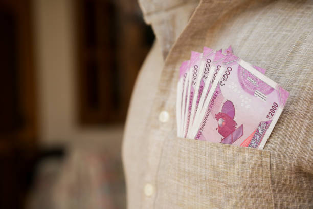 Indian Young Man - stock photo