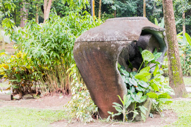 Large broken vase with tropical plants from the tropical nature in Perdana Botanical Garden, Malaysia.