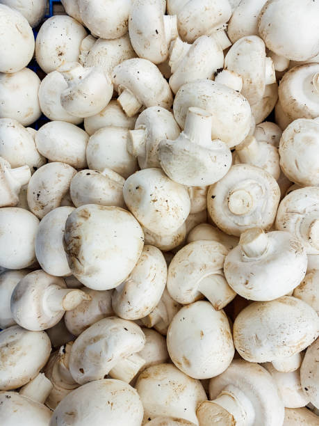 istock lots of white mushrooms for cooking background 1223141971