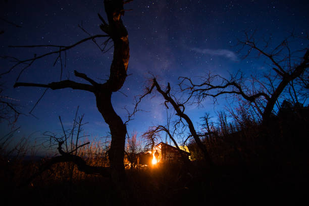 Campfire under a starry night in New Mexico