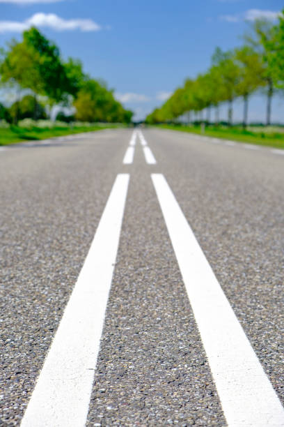 istock Flevoland straigh road in a rural area during a springtime day 1223143302