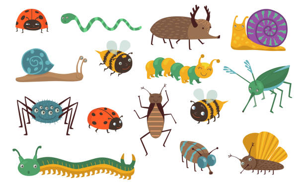 Cartoon insects set Cartoon insects set. Funny bugs, caterpillar, fly, bee, ladybird, snail, spider, mosquito. Can be used for wildlife, nature, garden, forest concept kid stickers stock illustrations