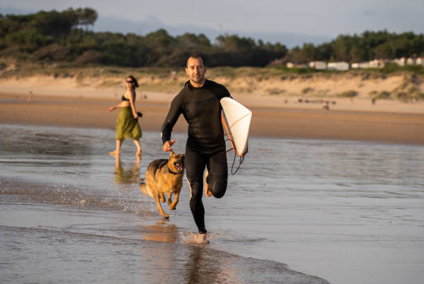 istock Surfer having fun with best friend german shepherd running and playing on dog-friendly beach at sunset. Summer fun surfing vacation with your dog, pet friendly trip and outdoors adventure lifestyle. 1223144242