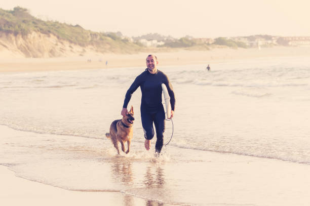 istock Surfer having fun with best friend german shepherd running and playing on dog-friendly beach at sunset. Summer fun surfing vacation with your dog, pet friendly trip and outdoors adventure lifestyle. 1223144257