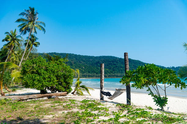 istock Very beautiful beach. Thailand. White sand. 1223144782