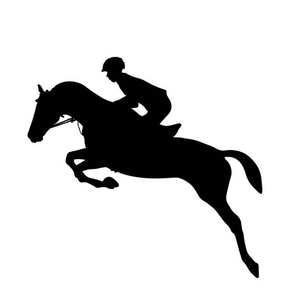 ilustrações de stock, clip art, desenhos animados e ícones de equestrianism horse and rider - hurdling hurdle vector silhouette