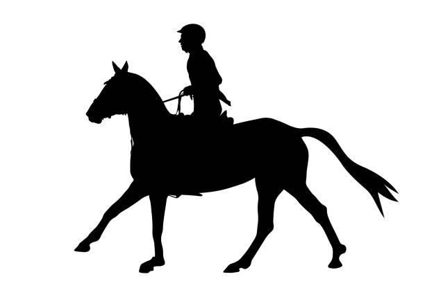 ilustrações de stock, clip art, desenhos animados e ícones de show jumping dressage - hurdling hurdle vector silhouette