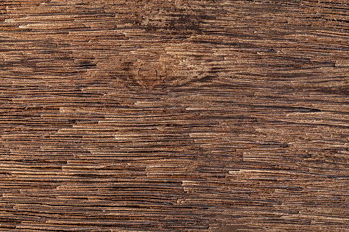 Natural dark wooden bark of tree texture background horizontal