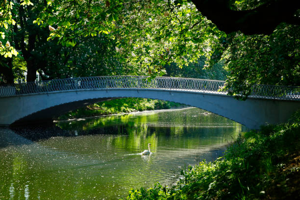 The Lindenthal Canal runs through the city forest of Cologne