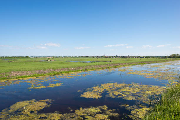 istock Flat, wide open Dutch polder landscape with green meadows and water features in spring 1223150367