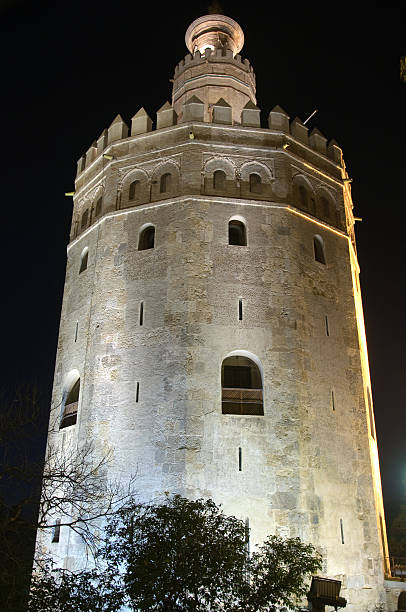 istock Torre del Oro in Seville by night 122315167