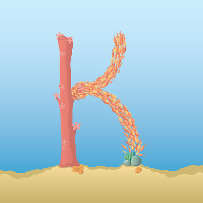 Marine Alphabet Stock Illustration - Download Image Now - Alphabet